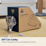 Little Green Pet Deluxe Portable Carpet Cleaner and Car/Auto Detailer, 3353, Gray/Blue