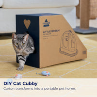 Little Green Pet Deluxe Portable Carpet Cleaner and Car/Auto Detailer, 3353, Gray/Blue